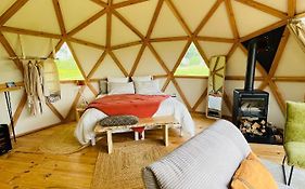 Dome Insolite Cedre Jacuzzi Et Petits Dejeuners Inclus