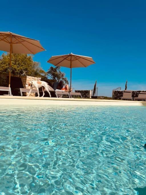 Dome Insolite Cedre Jacuzzi Et Petits Dejeuners Inclus Lagraulet-du-Gers Extérieur photo