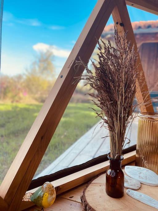 Dome Insolite Cedre Jacuzzi Et Petits Dejeuners Inclus Lagraulet-du-Gers Extérieur photo