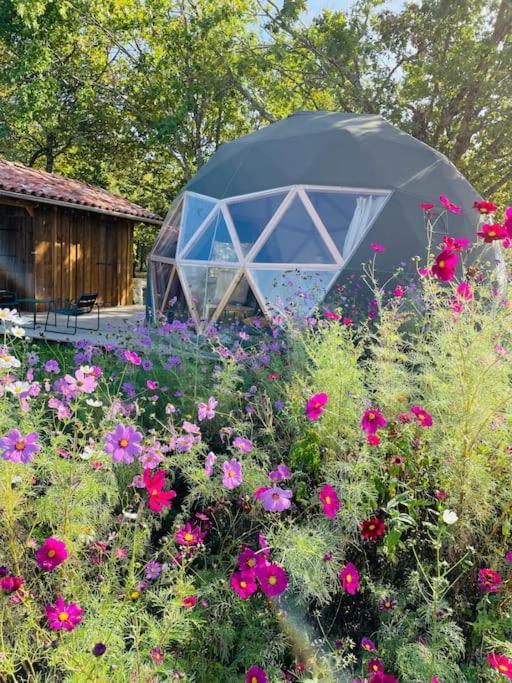 Dome Insolite Cedre Jacuzzi Et Petits Dejeuners Inclus Lagraulet-du-Gers Extérieur photo