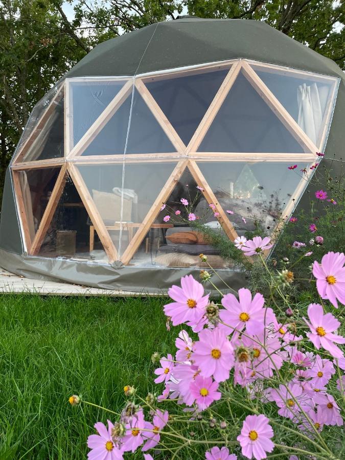 Dome Insolite Cedre Jacuzzi Et Petits Dejeuners Inclus Lagraulet-du-Gers Extérieur photo