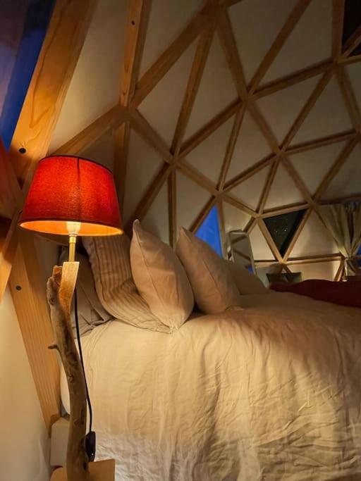 Dome Insolite Cedre Jacuzzi Et Petits Dejeuners Inclus Lagraulet-du-Gers Extérieur photo